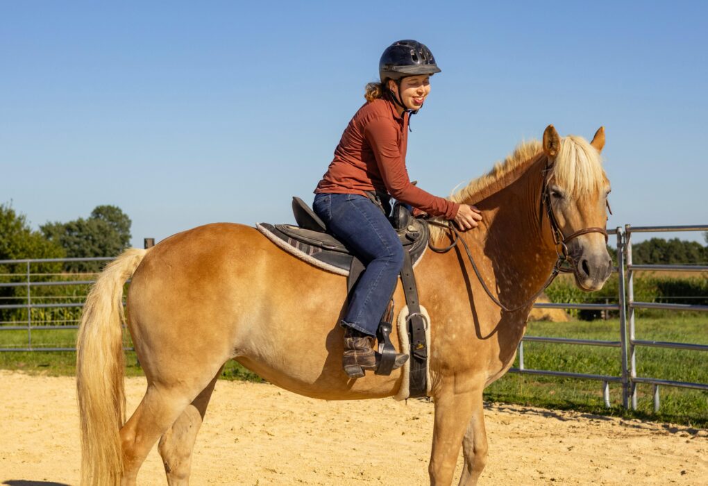 hobby horse kaufen